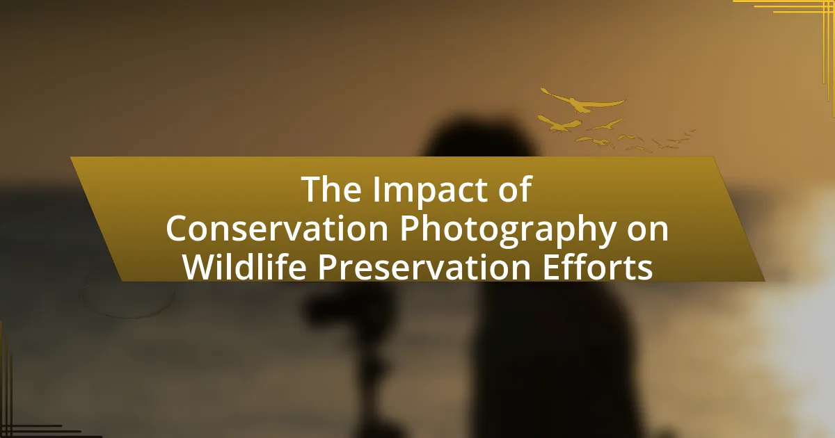 The Impact of Conservation Photography on Wildlife Preservation Efforts
