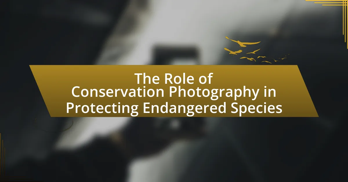 The Role of Conservation Photography in Protecting Endangered Species