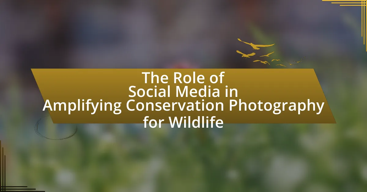 The Role of Social Media in Amplifying Conservation Photography for Wildlife