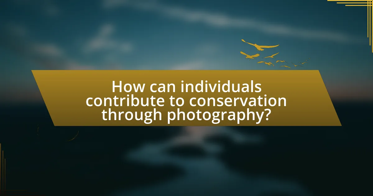 How can individuals contribute to conservation through photography?