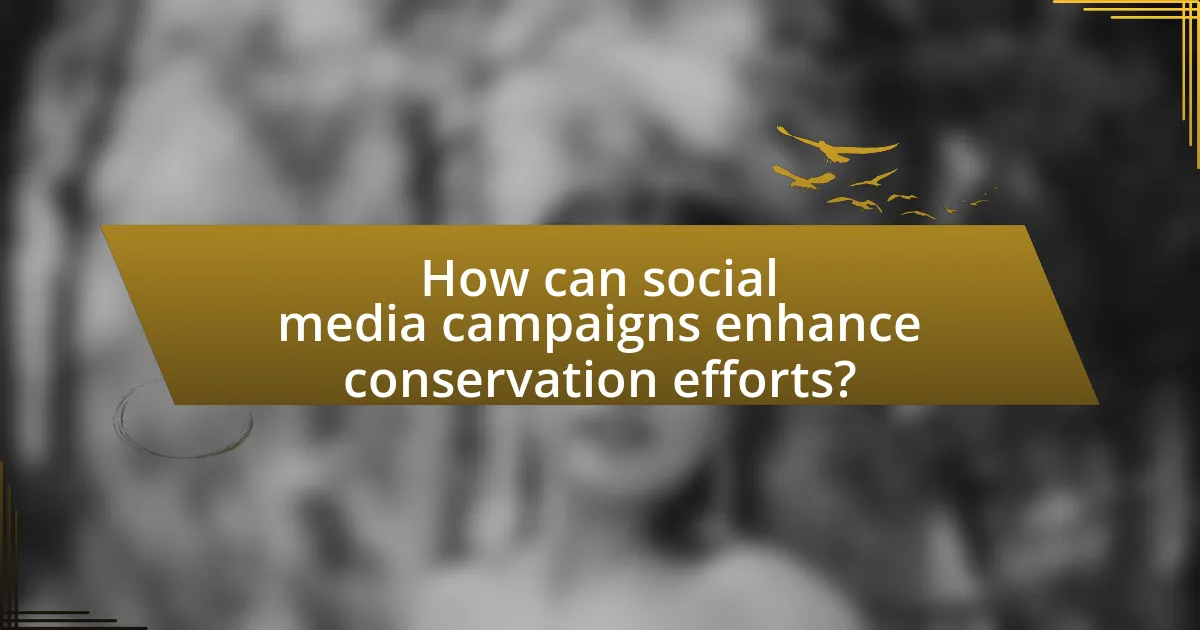 How can social media campaigns enhance conservation efforts?