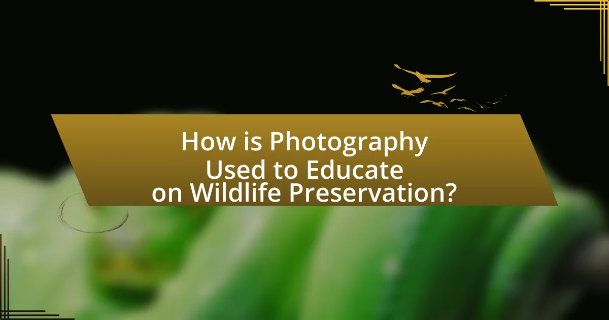 How is Photography Used to Educate on Wildlife Preservation?