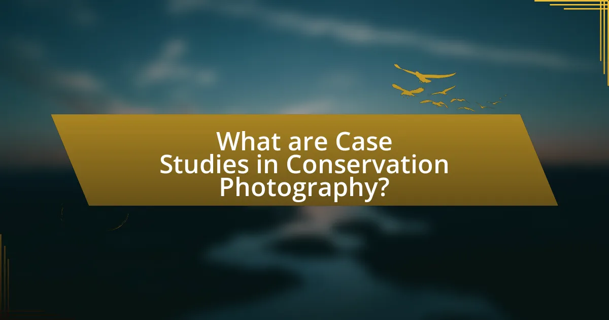 What are Case Studies in Conservation Photography?