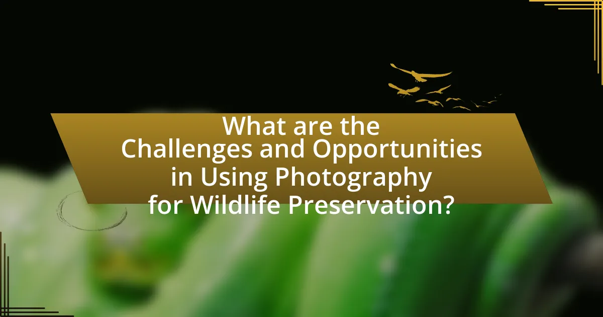 What are the Challenges and Opportunities in Using Photography for Wildlife Preservation?
