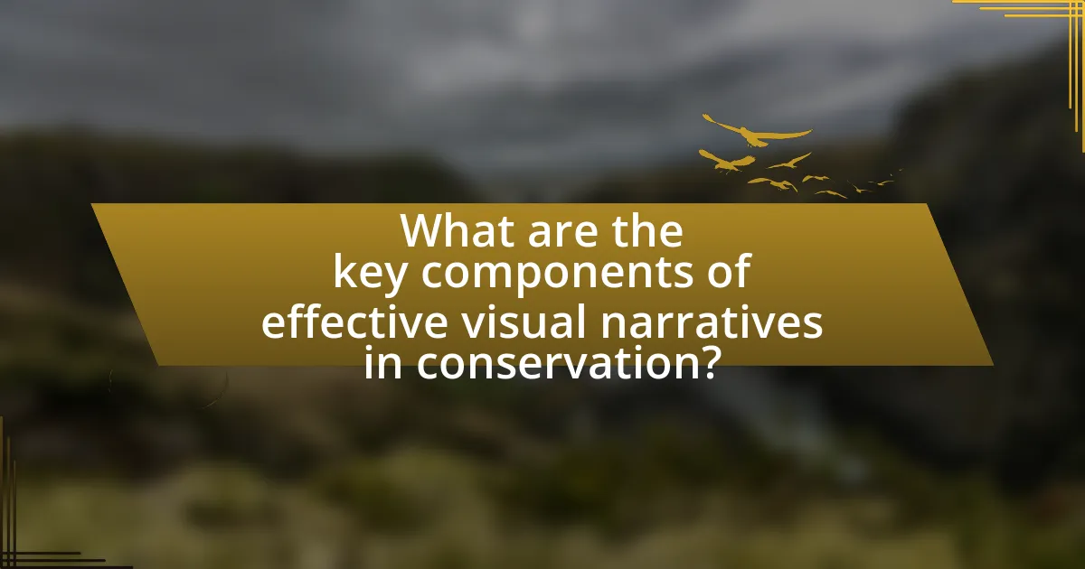 What are the key components of effective visual narratives in conservation?