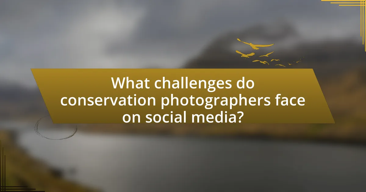 What challenges do conservation photographers face on social media?