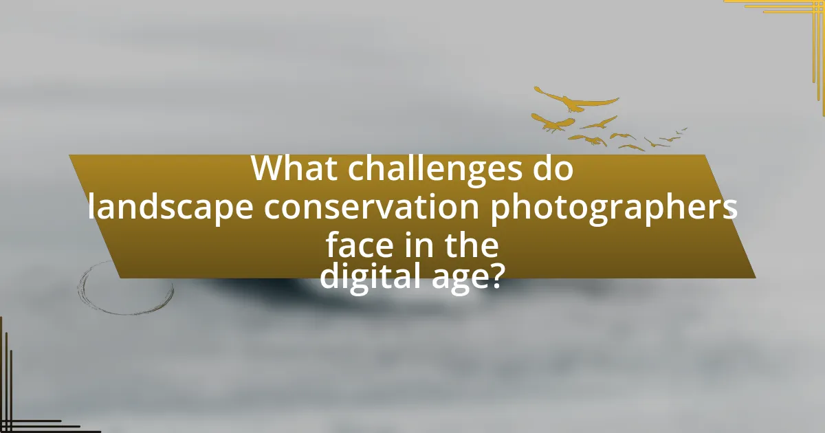 What challenges do landscape conservation photographers face in the digital age?