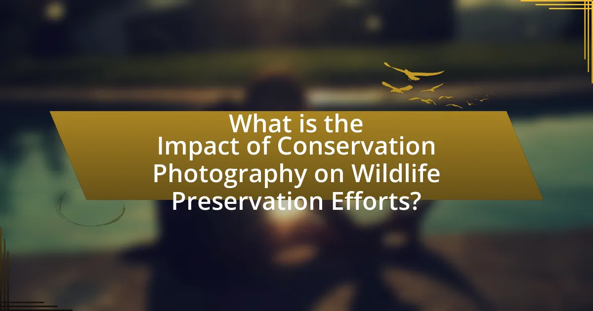 What is the Impact of Conservation Photography on Wildlife Preservation Efforts?